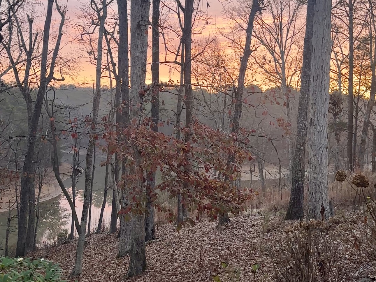 The Simple Things That Get Us Outside