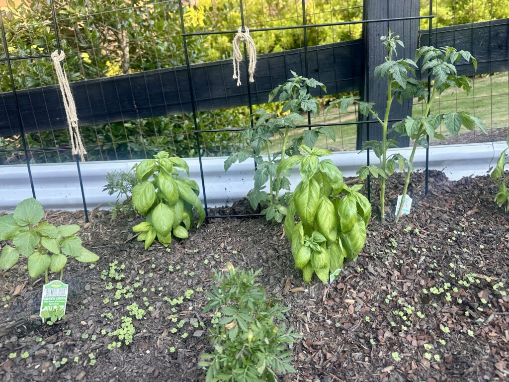 garden humbled me