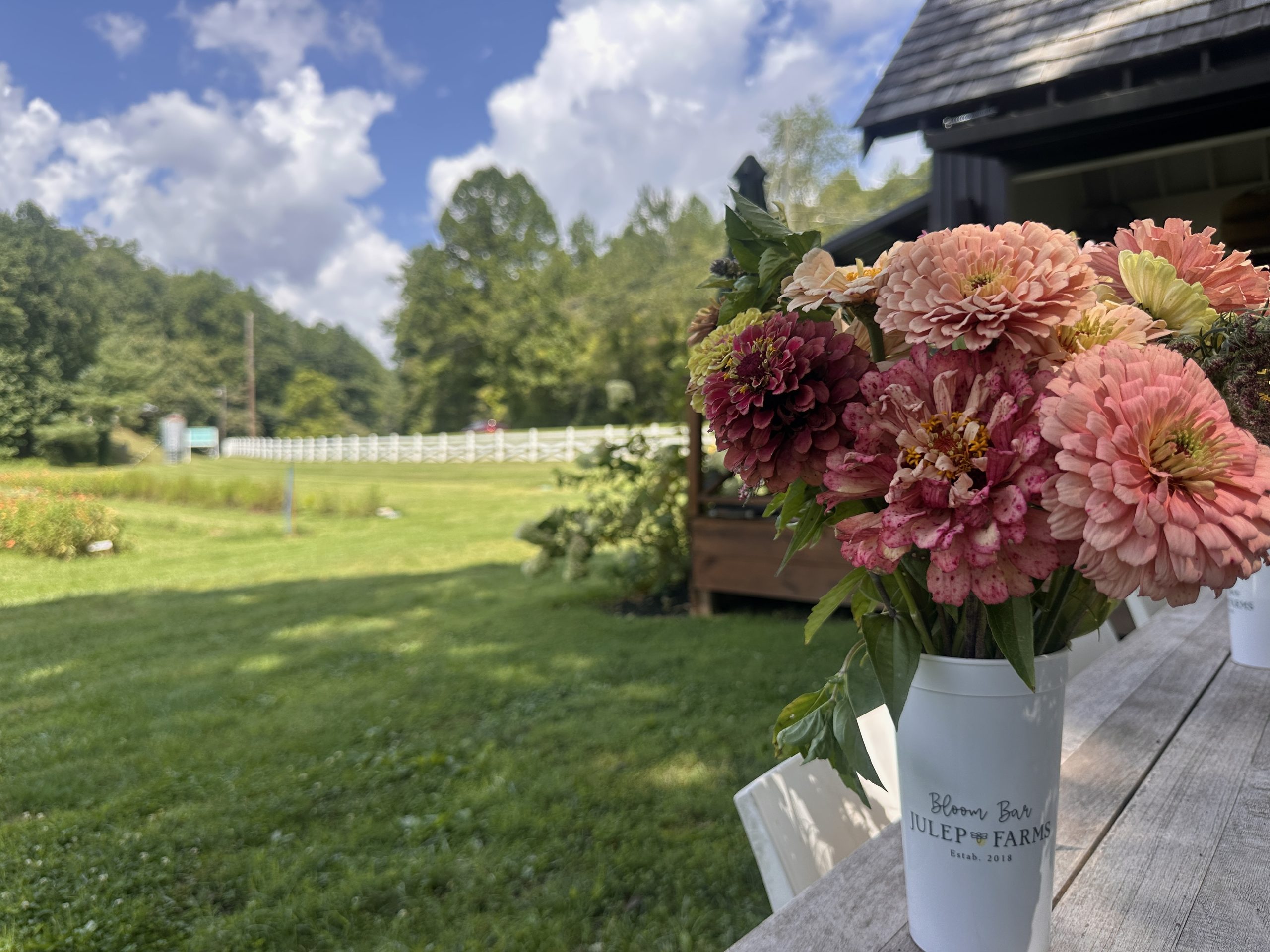 Flower Cutting at Julep Farms in Dillard, Georgia